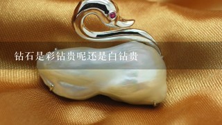 钻石是彩钻贵呢还是白钻贵