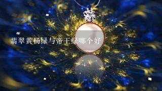 翡翠黄杨绿与帝王绿哪个好