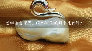 想学鉴定课程，GIA和IGI的哪个比较好？