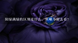 阳绿满绿的区别是什么，从哪方面去看？