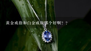 黄金戒指和白金戒指哪个好啊？？