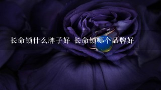 长命锁什么牌子好 长命锁哪个品牌好